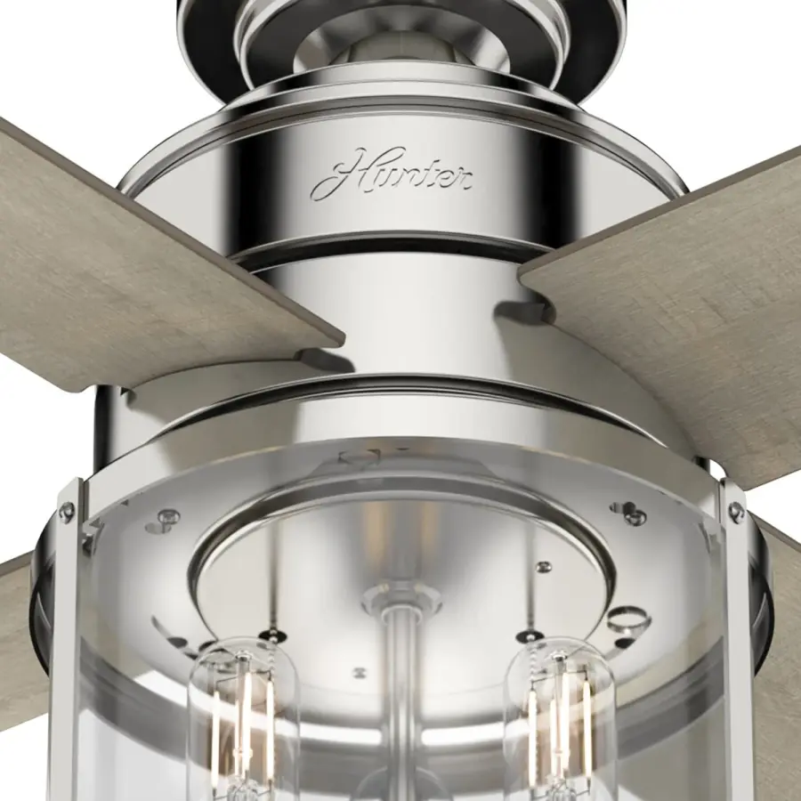 The Ceiling Fans by Hunter - Image 11