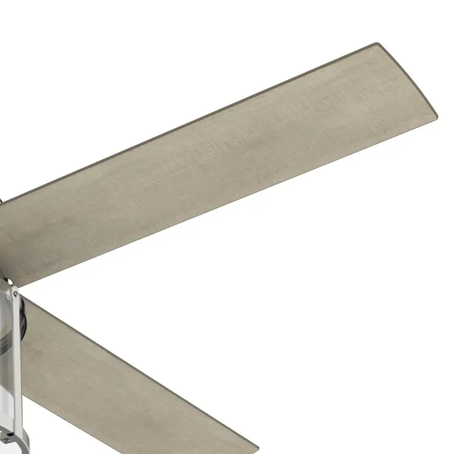 The Ceiling Fans by Hunter - Image 13