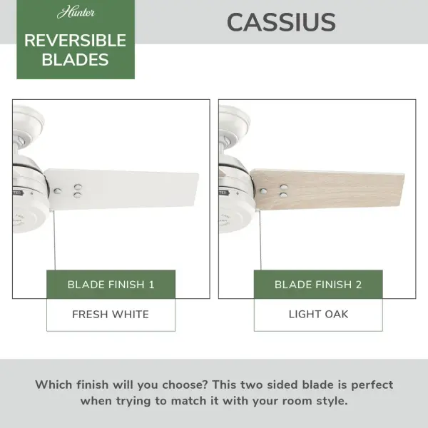 Cassius 36" Ceiling Fan in Noble Bronze - Image 51