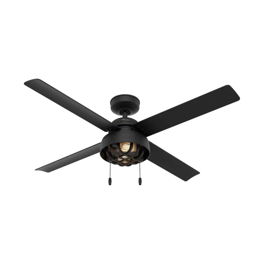 The Ceiling Fans by Hunter - Image 1