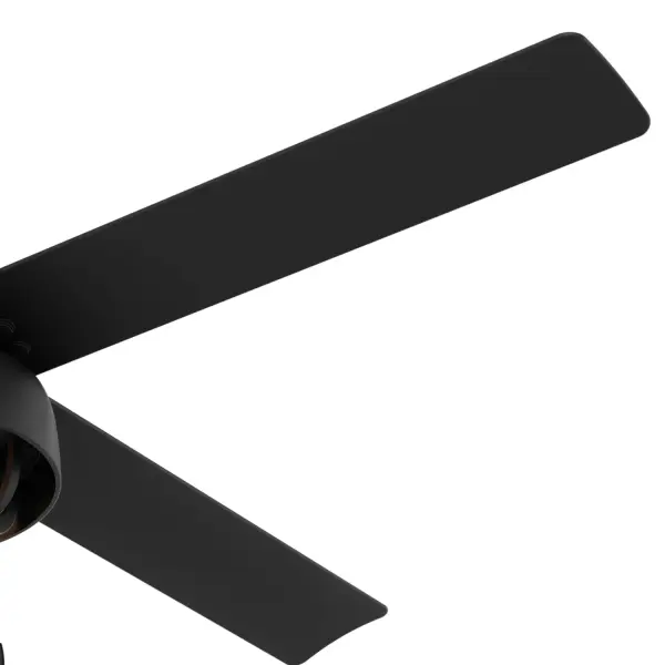 The Ceiling Fans by Hunter - Image 12