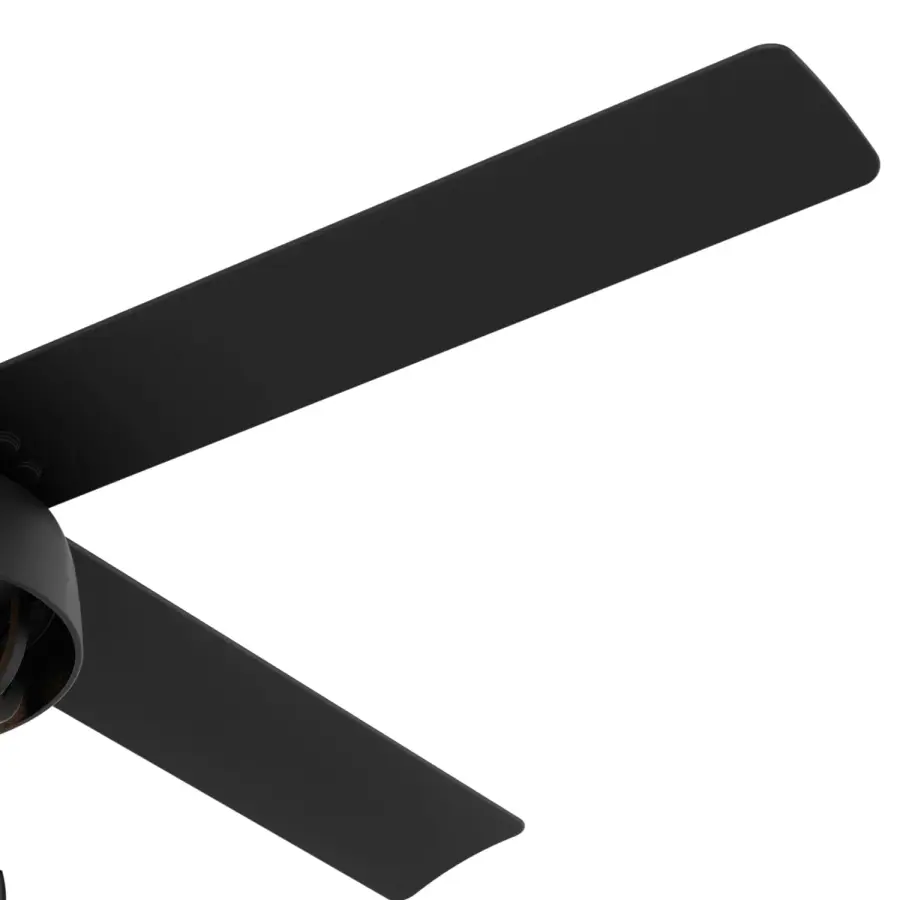The Ceiling Fans by Hunter - Image 12