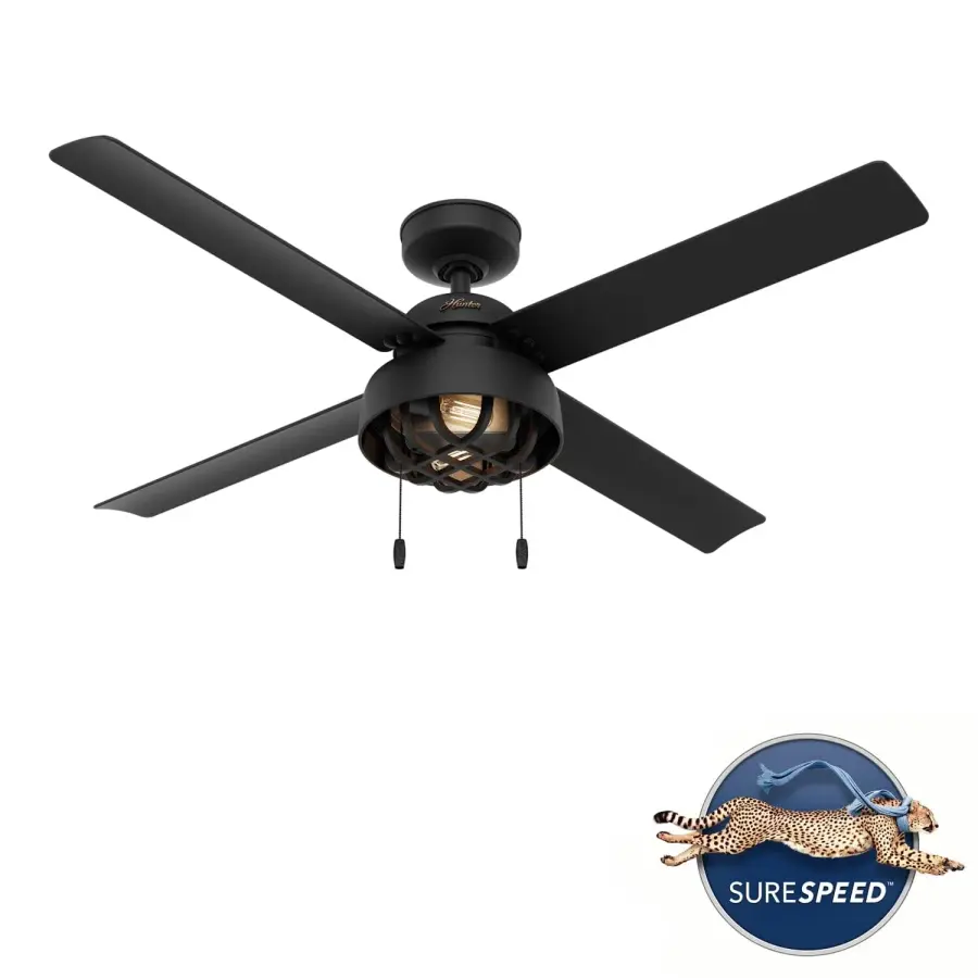 The Ceiling Fans by Hunter - Image 13