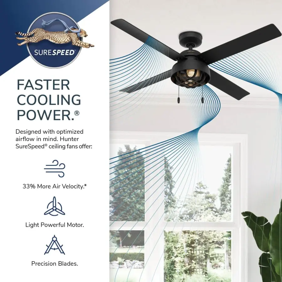 The Ceiling Fans by Hunter - Image 14