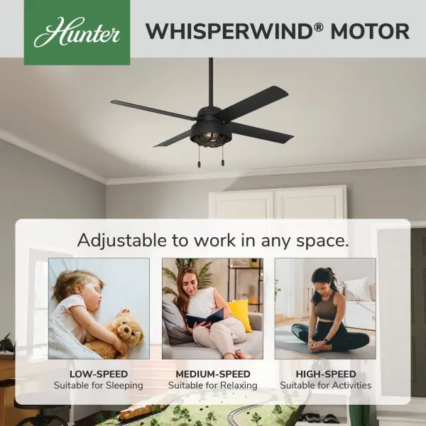The Ceiling Fans by Hunter - Image 15