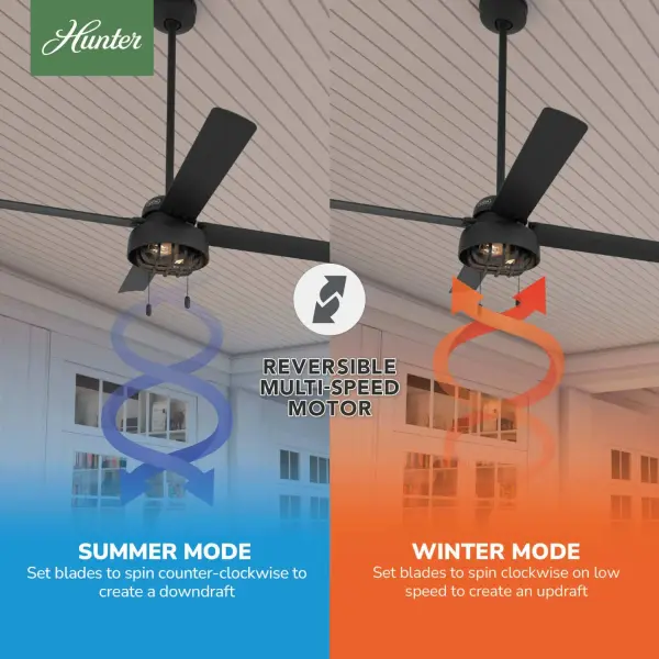 The Ceiling Fans by Hunter - Image 5
