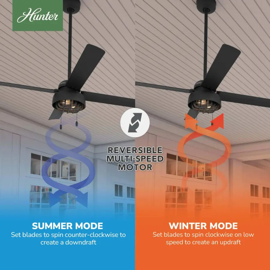 The Ceiling Fans by Hunter - Image 5