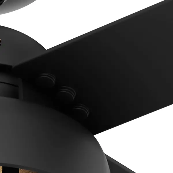 The Ceiling Fans by Hunter - Image 9
