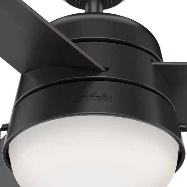 The Ceiling Fans by Hunter - Image 13