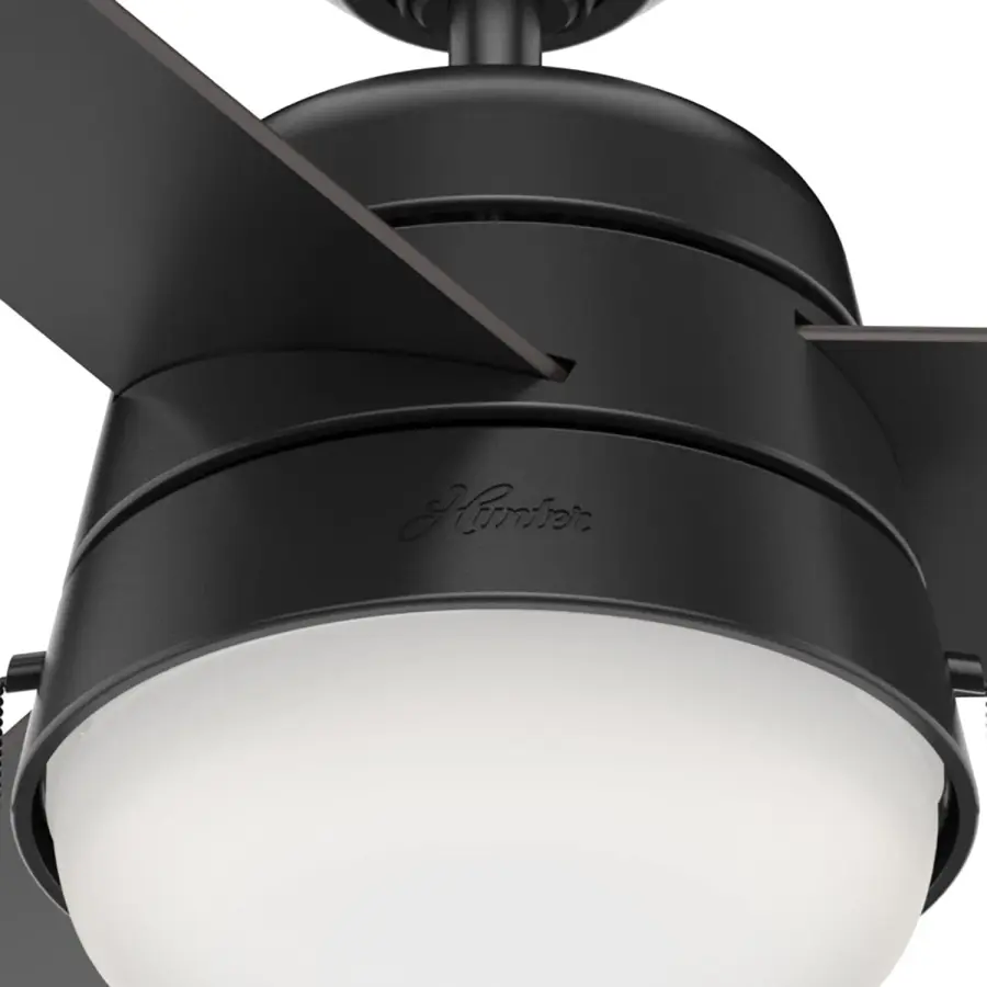 The Ceiling Fans by Hunter - Image 13