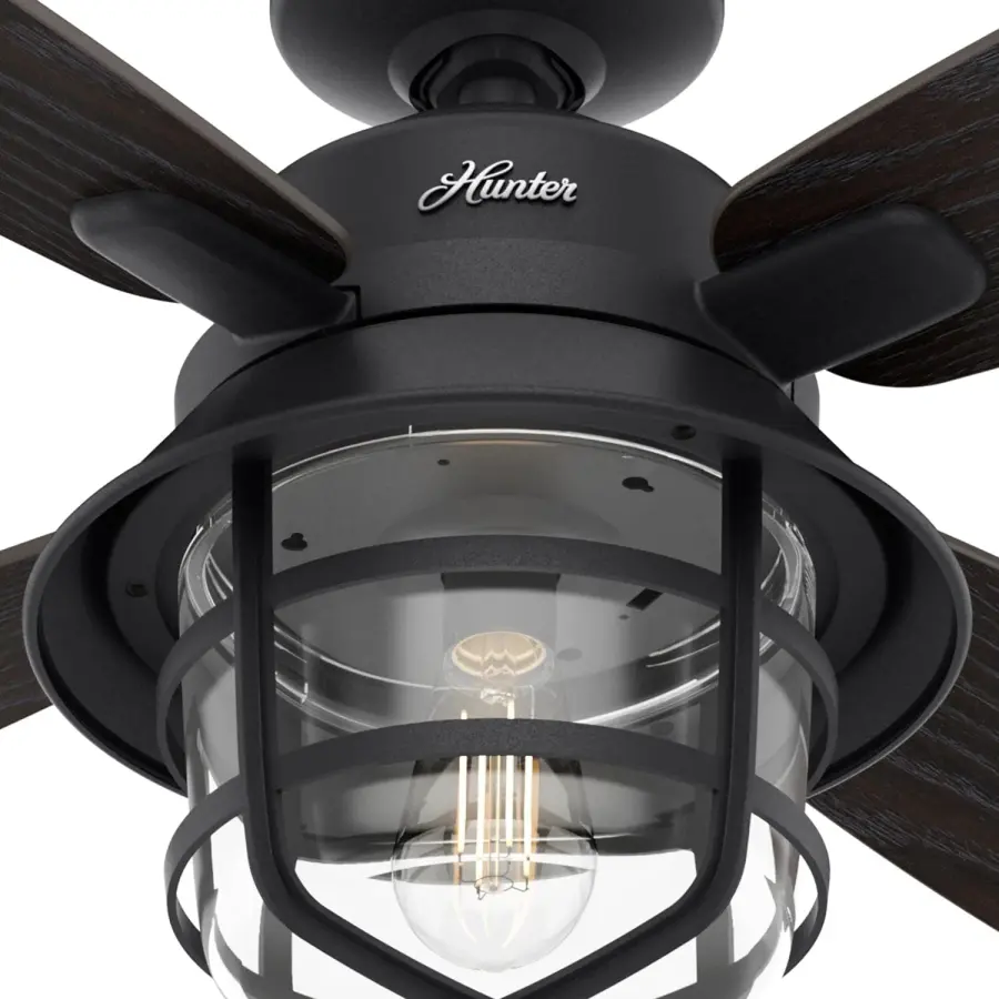The Ceiling Fans by Hunter - Image 12