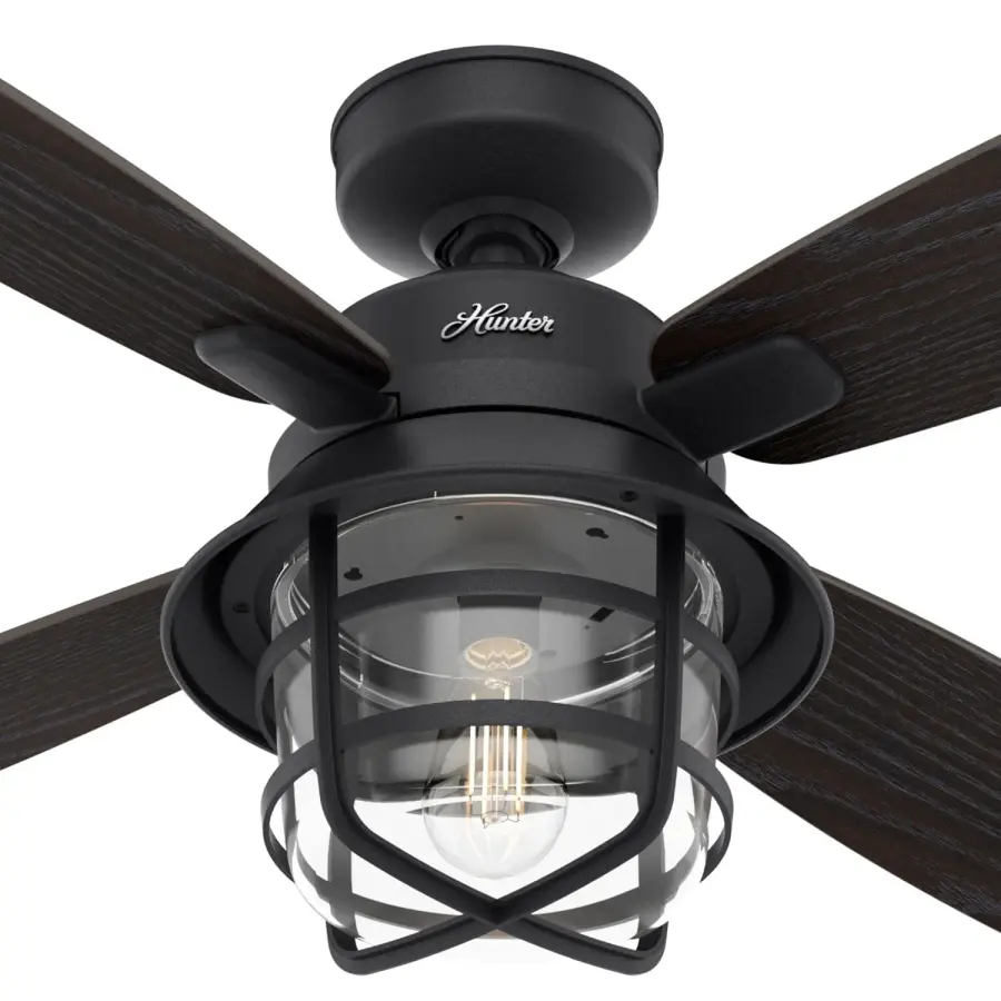 The Ceiling Fans by Hunter - Image 13