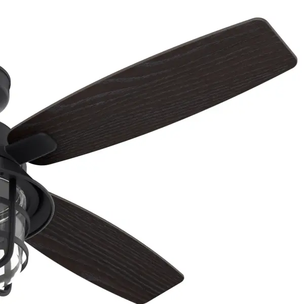 The Ceiling Fans by Hunter - Image 14