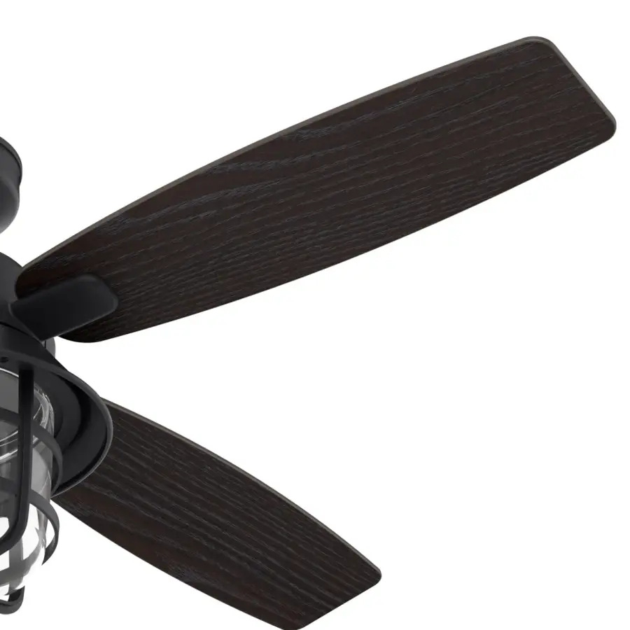 The Ceiling Fans by Hunter - Image 14