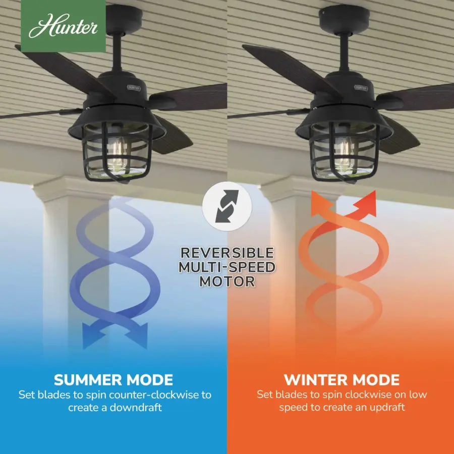The Ceiling Fans by Hunter - Image 6