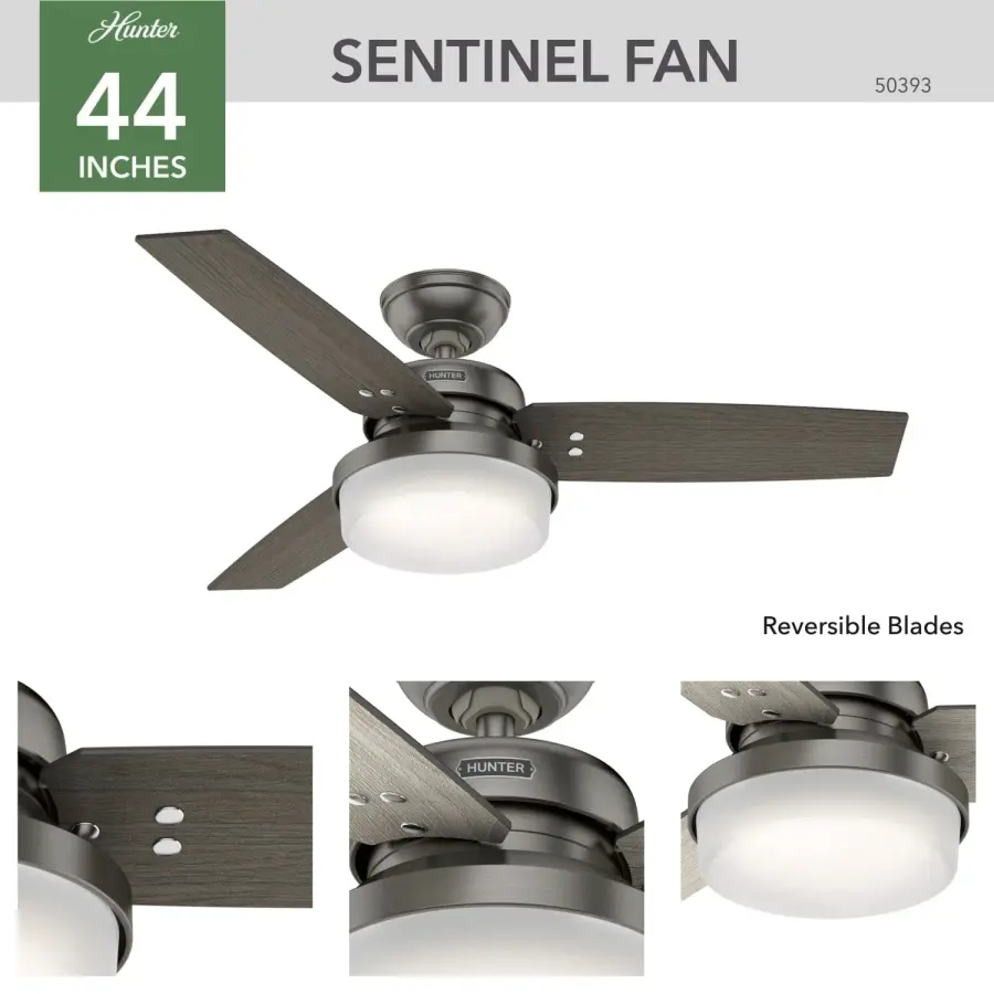 The Ceiling Fans by Hunter - Image 3