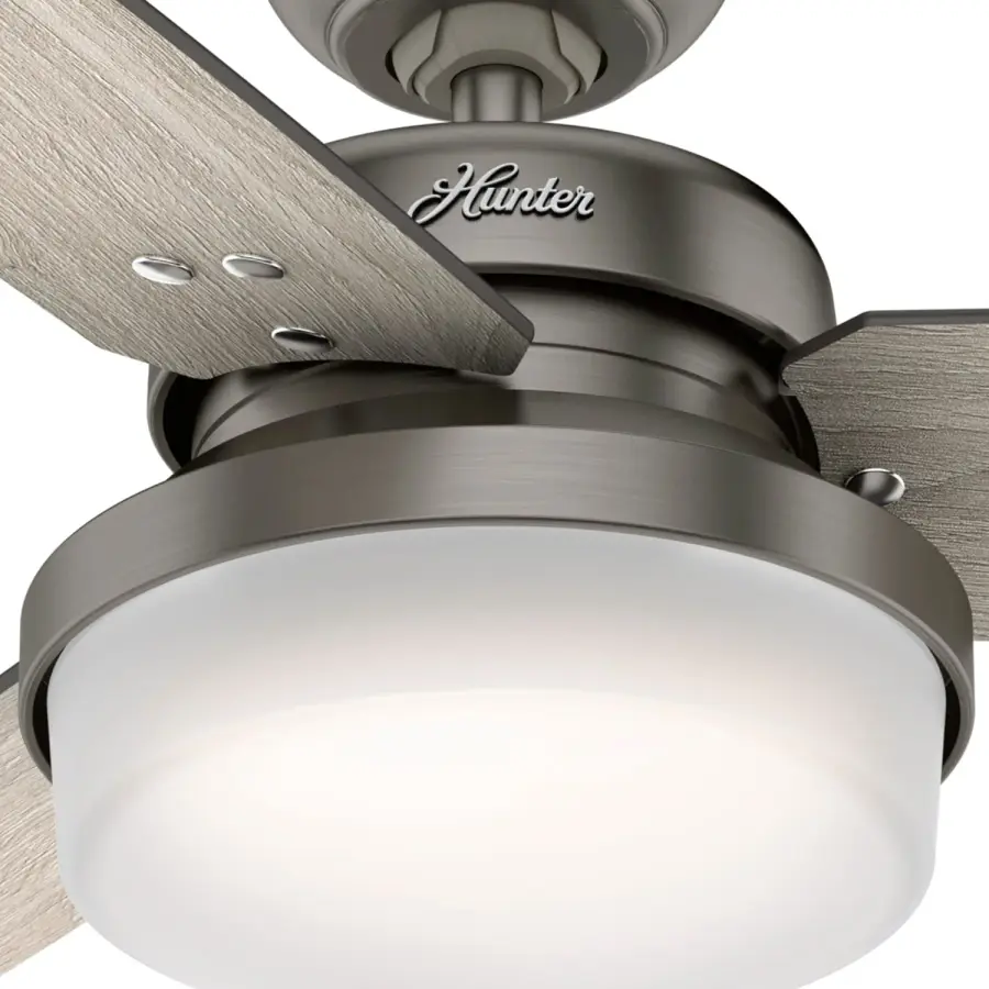 The Ceiling Fans by Hunter - Image 21