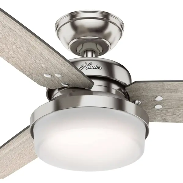 The Ceiling Fans by Hunter - Image 24