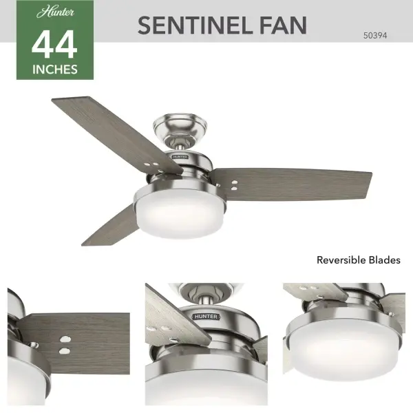 The Ceiling Fans by Hunter - Image 4