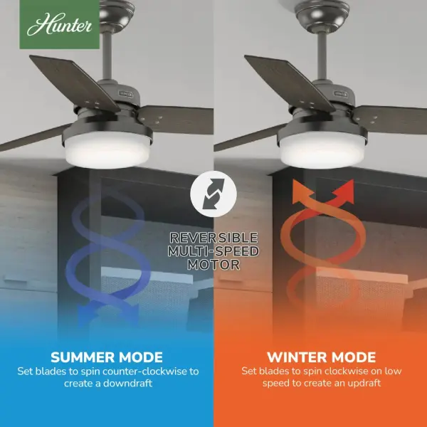 The Ceiling Fans by Hunter - Image 9