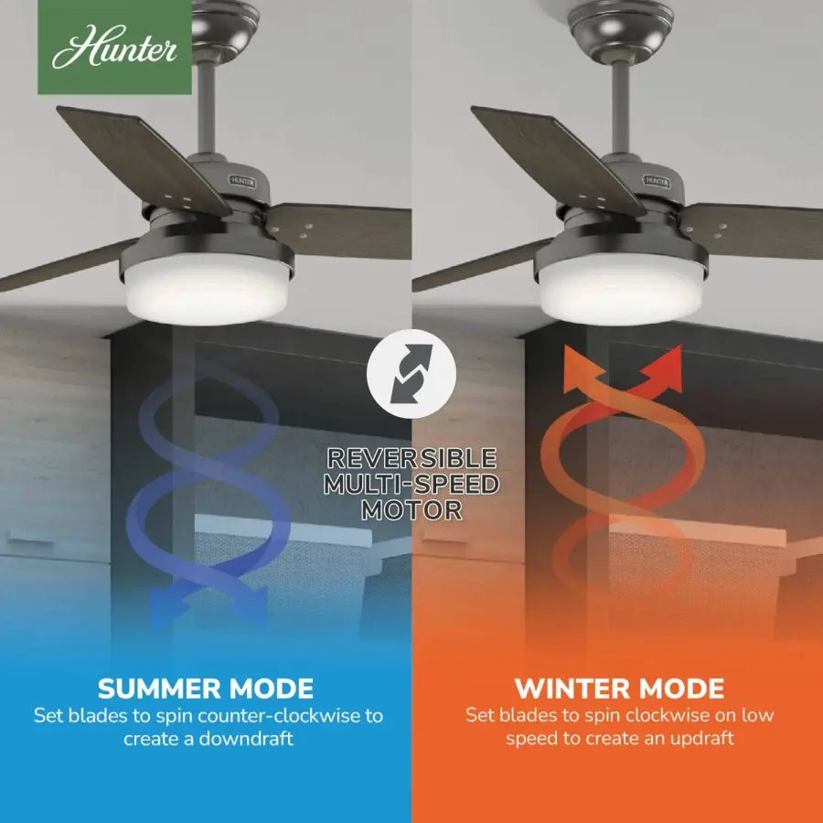The Ceiling Fans by Hunter - Image 9