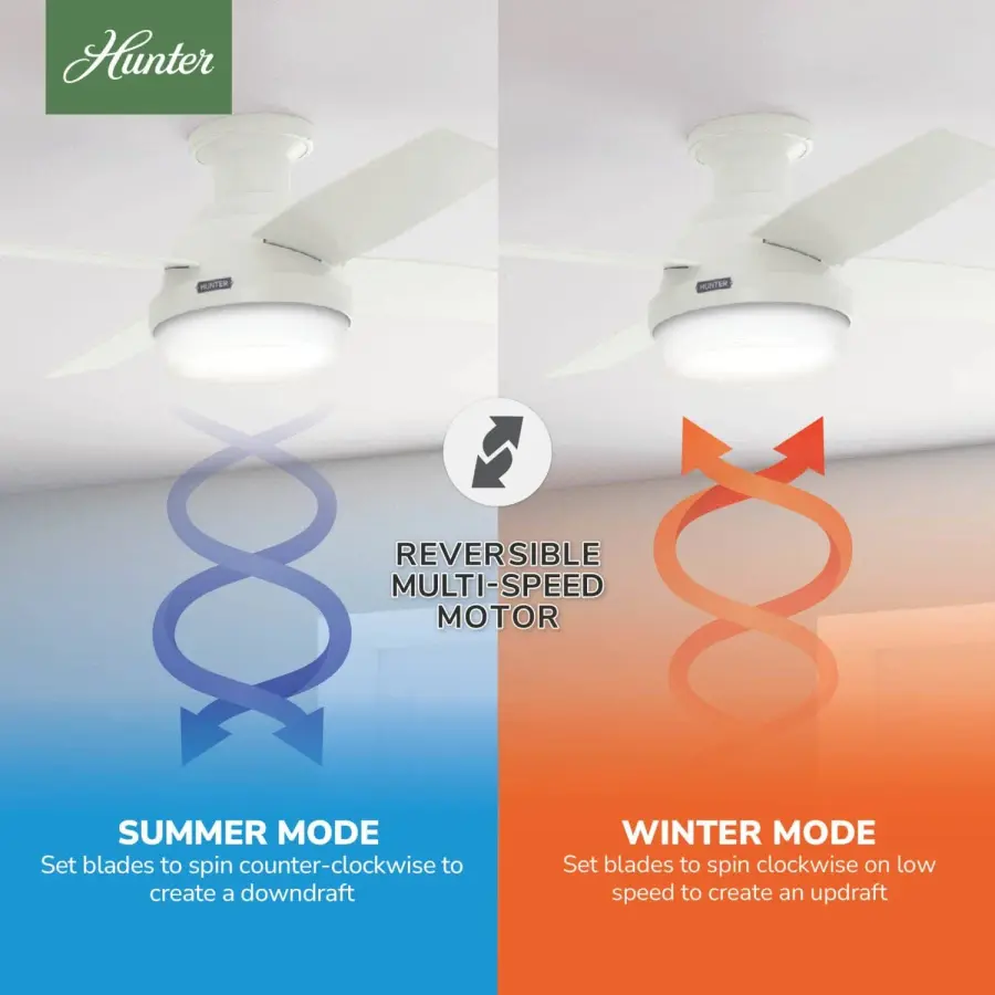 The Ceiling Fans by Hunter - Image 11