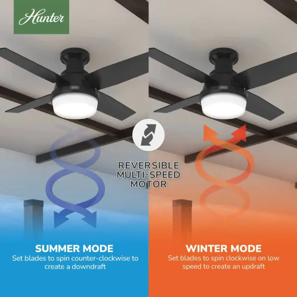 The Ceiling Fans by Hunter - Image 12