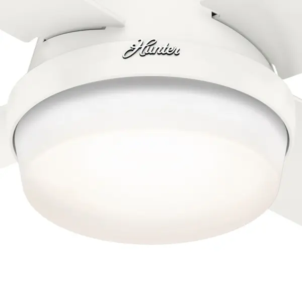 The Ceiling Fans by Hunter - Image 19