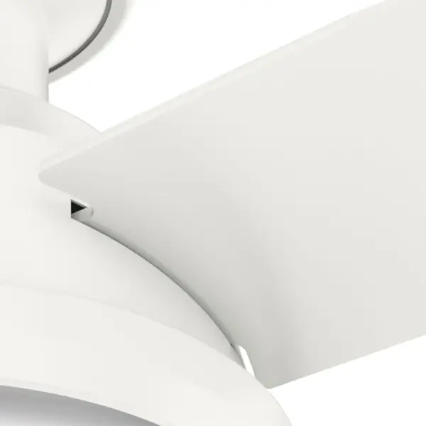 The Ceiling Fans by Hunter - Image 21