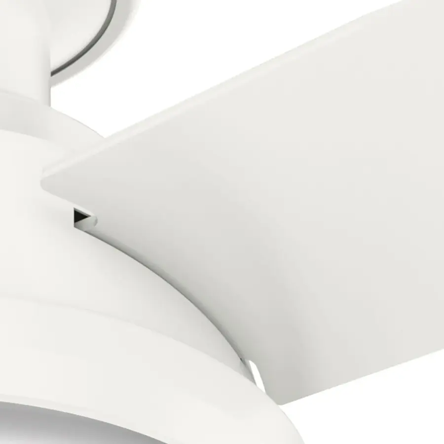 The Ceiling Fans by Hunter - Image 21