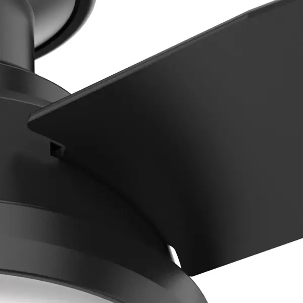 The Ceiling Fans by Hunter - Image 22
