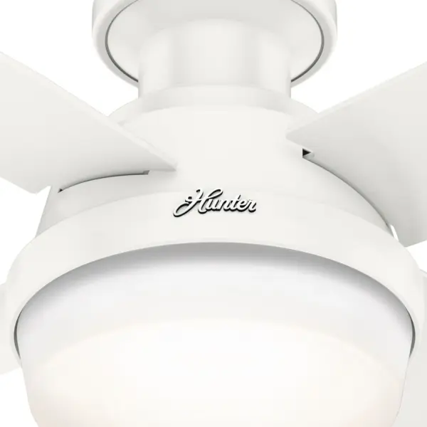 The Ceiling Fans by Hunter - Image 23