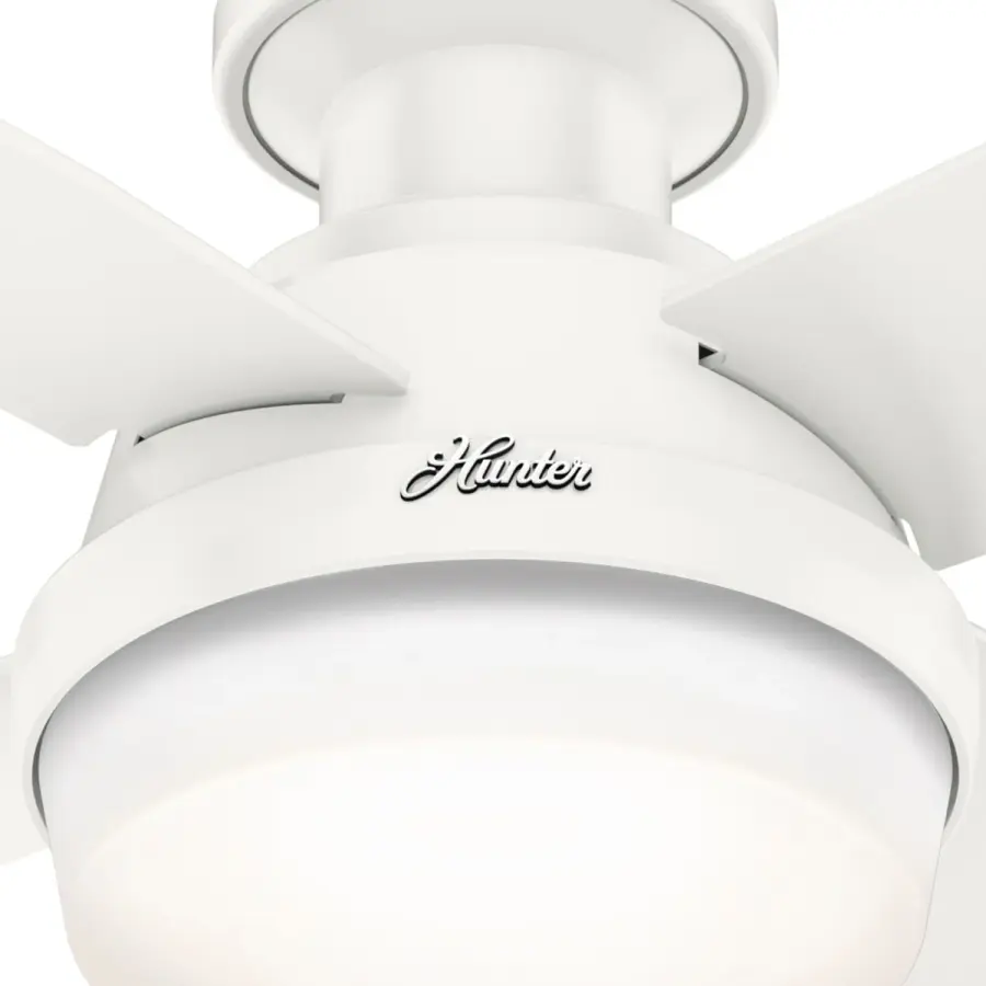 The Ceiling Fans by Hunter - Image 23