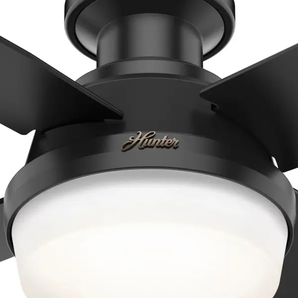 The Ceiling Fans by Hunter - Image 24