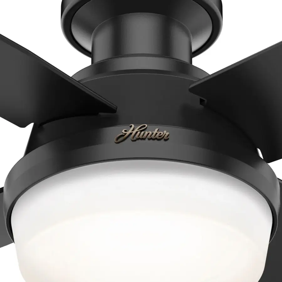 The Ceiling Fans by Hunter - Image 24