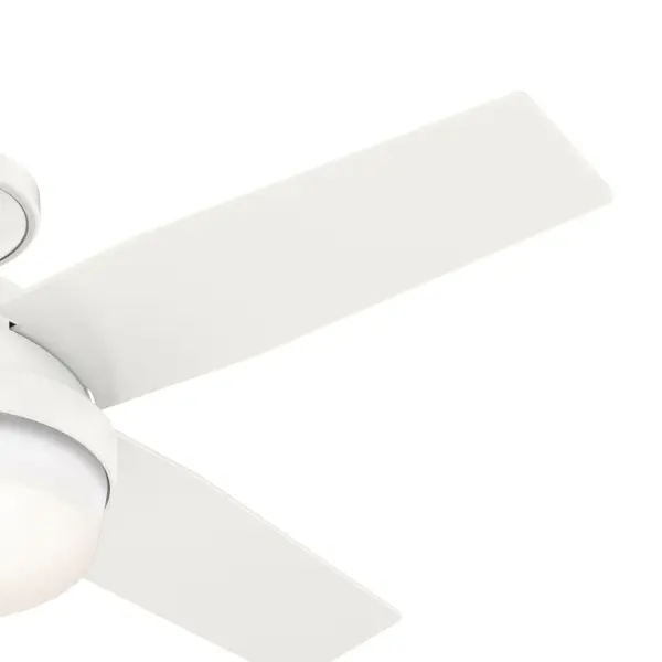 The Ceiling Fans by Hunter - Image 27