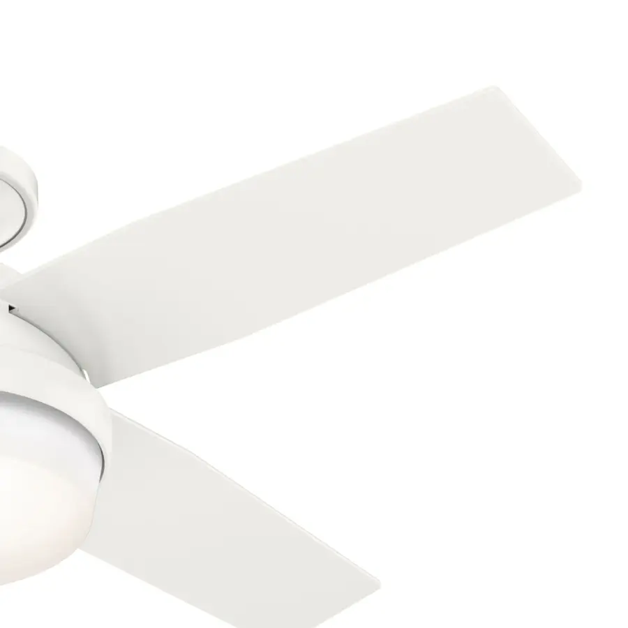 The Ceiling Fans by Hunter - Image 27