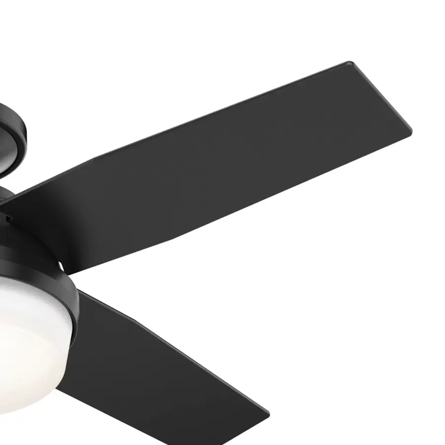 The Ceiling Fans by Hunter - Image 28