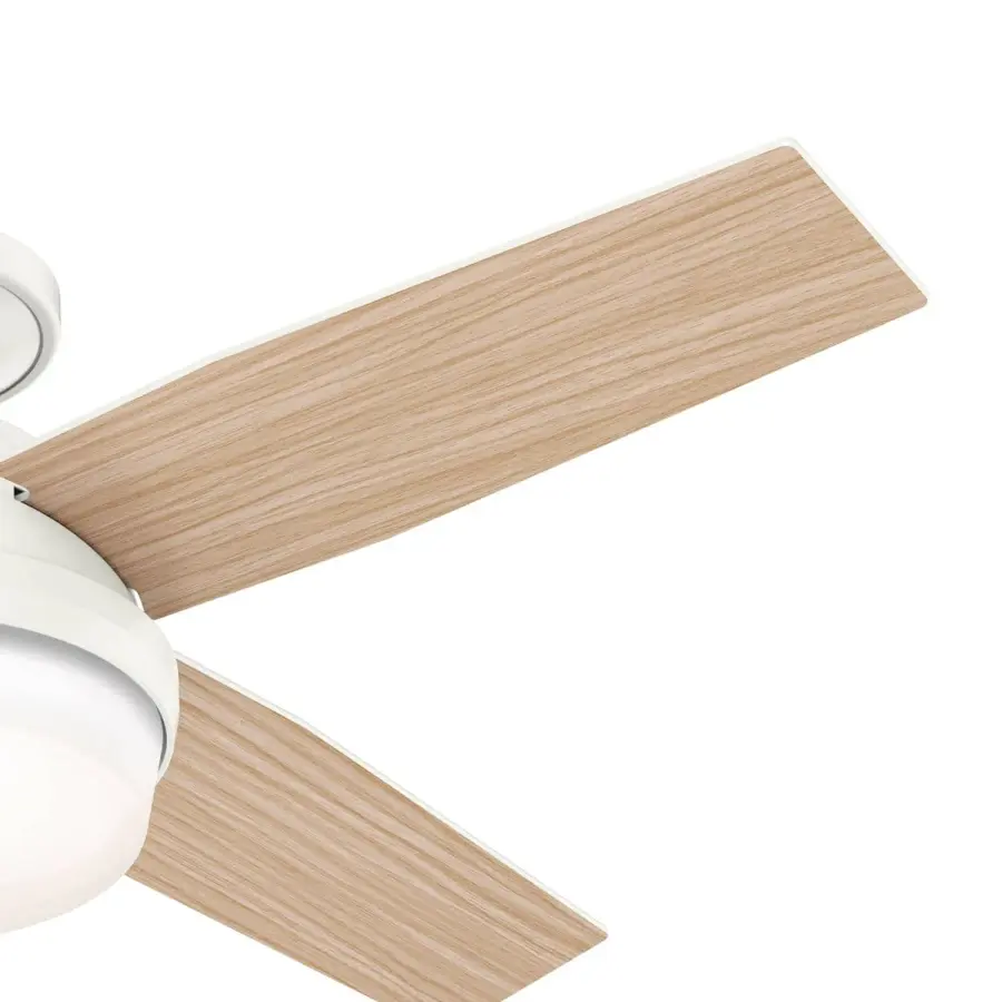 The Ceiling Fans by Hunter - Image 29