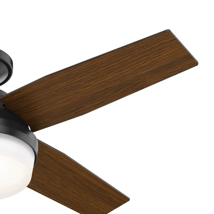 The Ceiling Fans by Hunter - Image 30