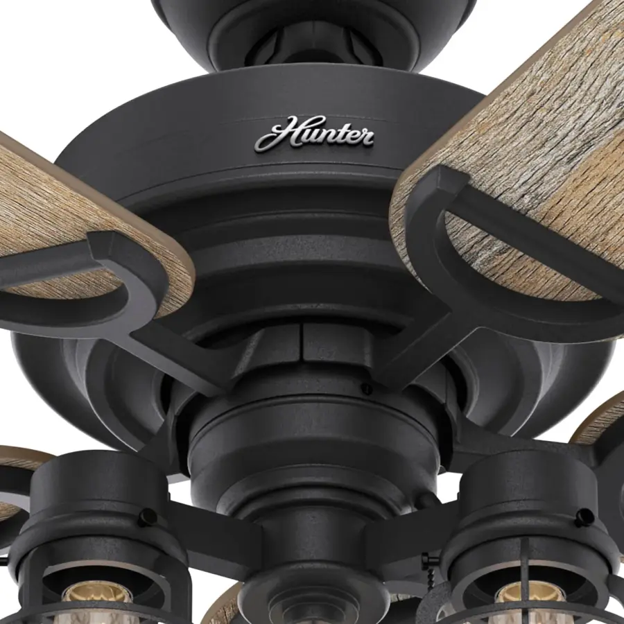 The Ceiling Fans by Hunter - Image 11
