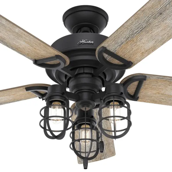 The Ceiling Fans by Hunter - Image 12