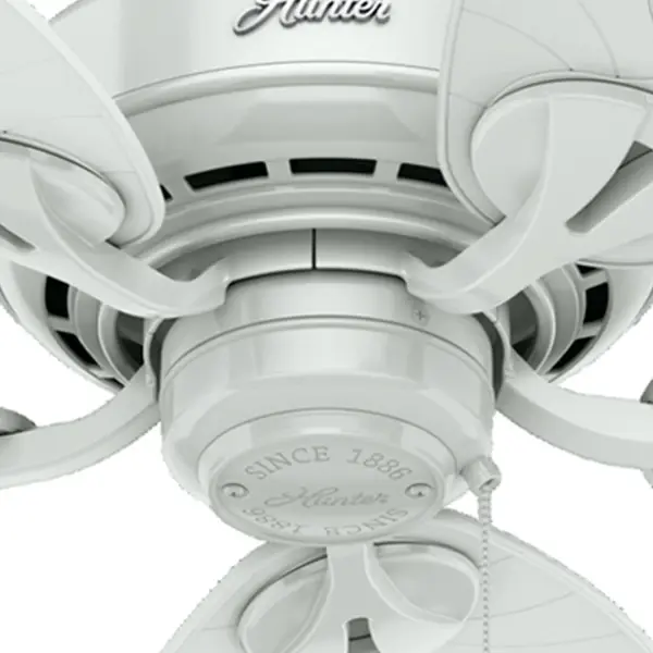 The Ceiling Fans by Hunter - Image 15