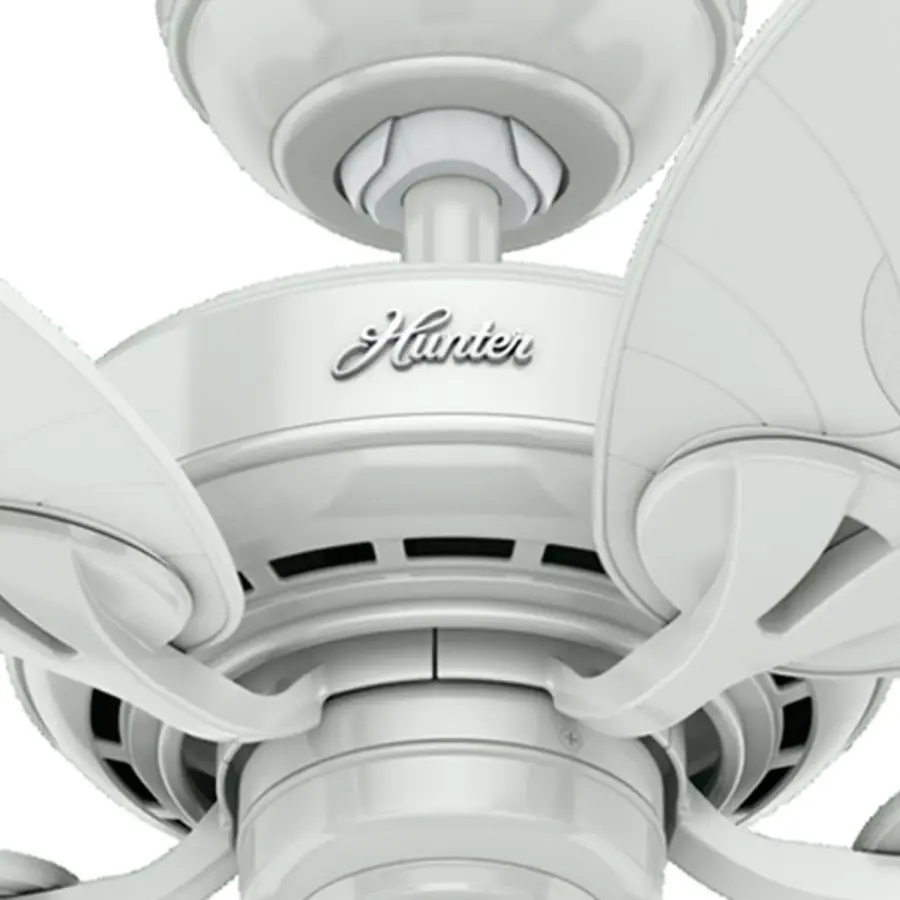 The Ceiling Fans by Hunter - Image 19