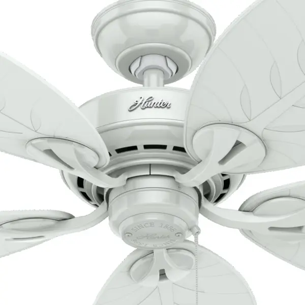 The Ceiling Fans by Hunter - Image 21
