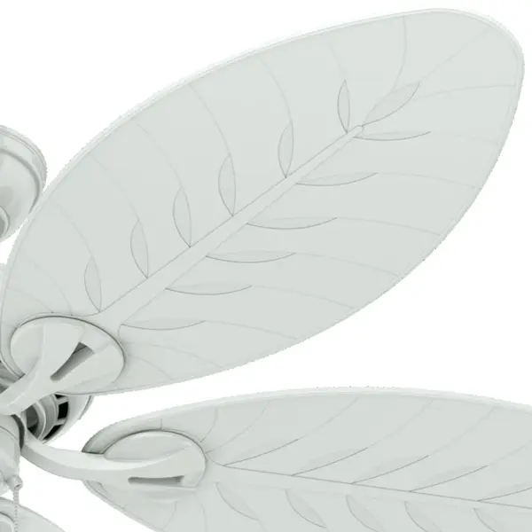 The Ceiling Fans by Hunter - Image 23