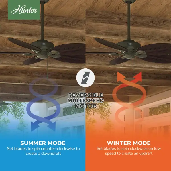 The Ceiling Fans by Hunter - Image 8