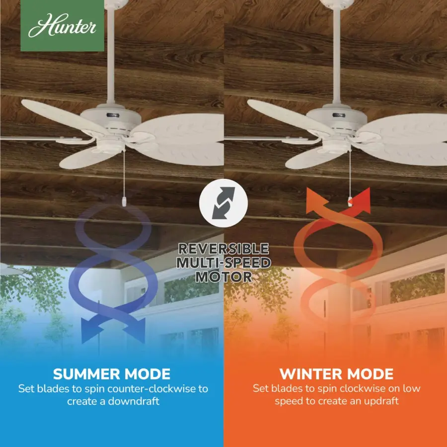 The Ceiling Fans by Hunter - Image 9