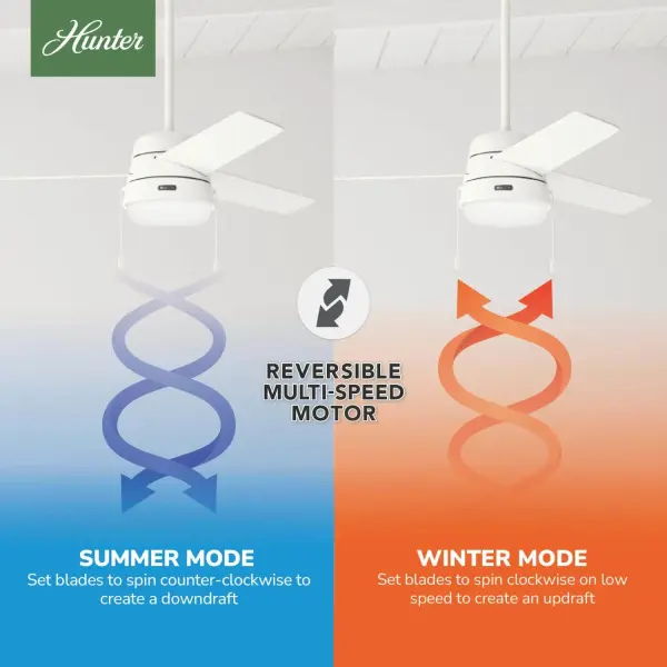 The Ceiling Fans by Hunter - Image 12