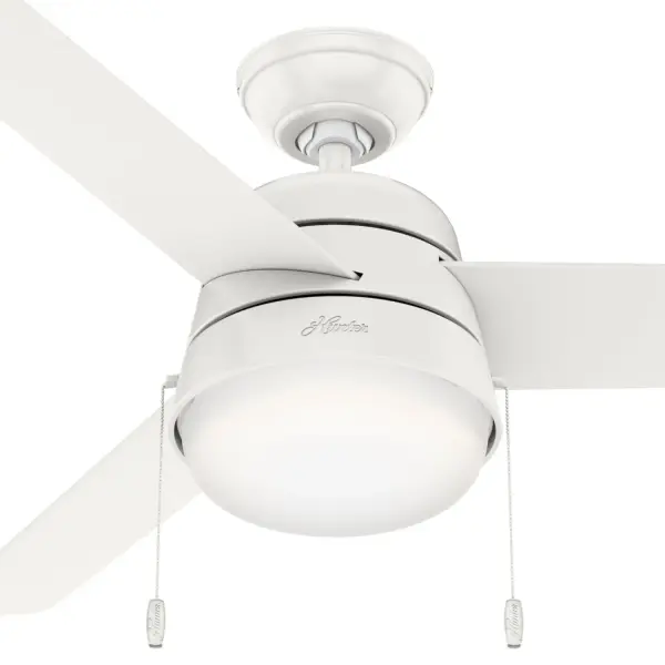 The Ceiling Fans by Hunter - Image 23